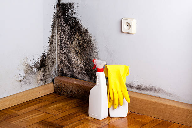 Best Residential Mold Inspection & Testing  in Clarksburg, WV